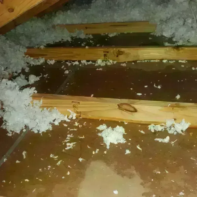 Attic Water Damage in Spanish Fort, AL